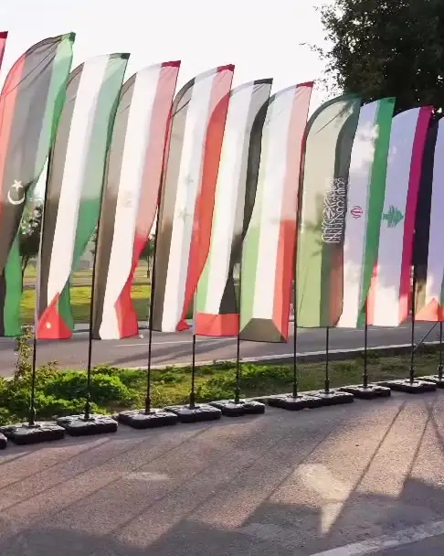 UNC IDC: أعلام المؤتمر عند المدخل